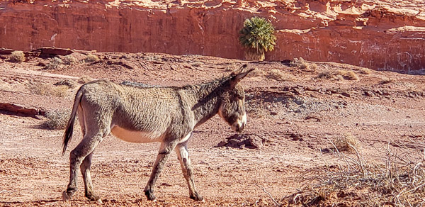 Drive to Little Finland